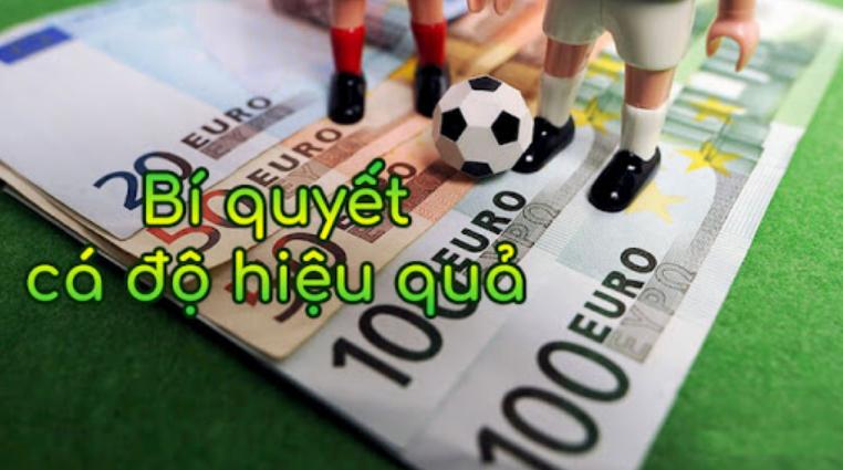 Cách cá độ bóng đá dễ thắng từ những chuyên gia cá độ