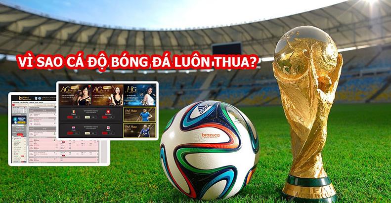 Nguyên nhân khiến cá độ bóng đá luôn thua