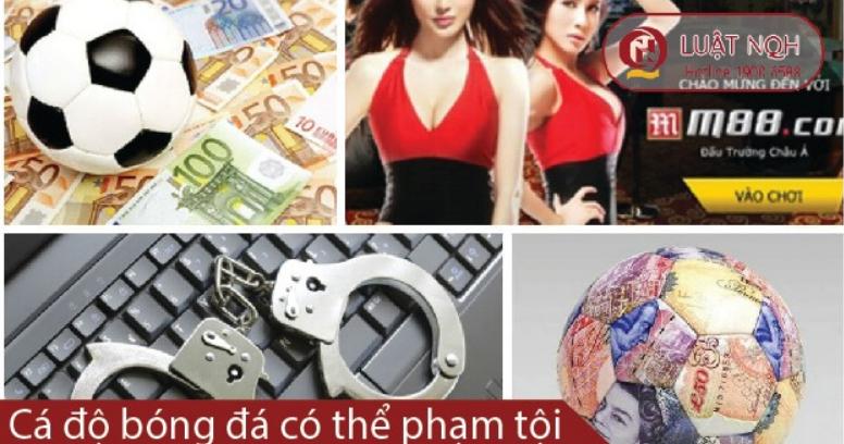 Cá độ bóng đá phạt tù – Có hay không?