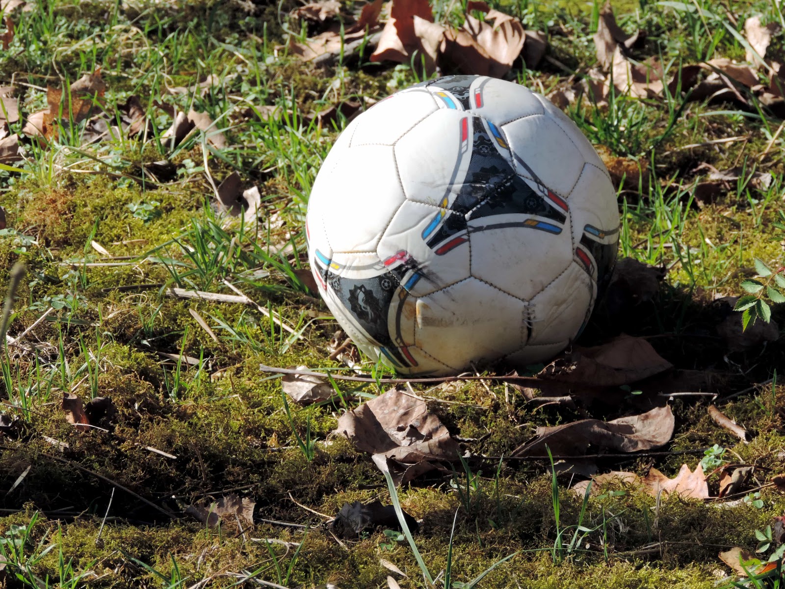 Các trang cá độ bóng đá miễn phí dành cho người chơi