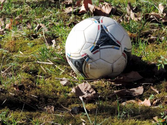 Lựa chọn nhà cái đảm bảo uy tín Lựa chọn nhà cái đảm bảo uy tín