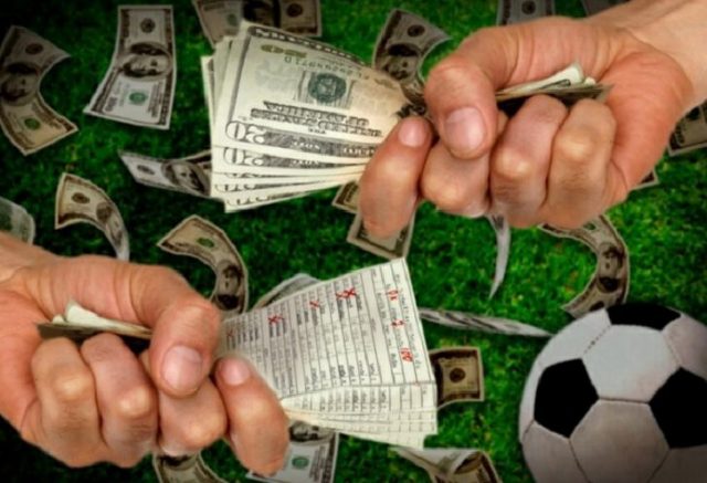 NHỮNG ĐIỀU THÚ VỊ VỀ CÁ ĐỘ ONLINE