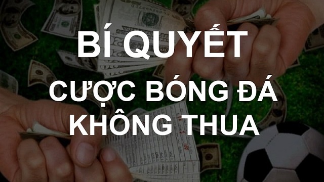 Bí quyết cá độ bóng đá không thua