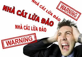 Cá động bóng đá online liệu có an toàn không?