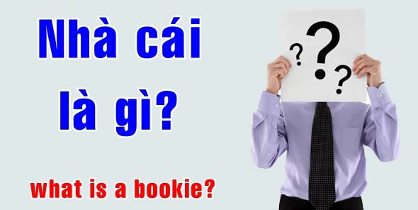 Nhà cái là gì, cùng khám phá nhiều bí mật không phải ai cũng biết về nhà cái 