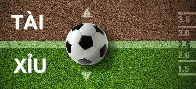 Tìm hiểu kỹ thông tin kèo