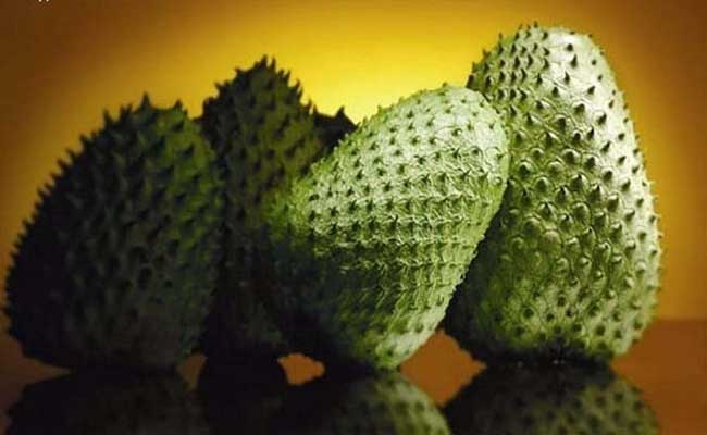 Bạn ngủ mơ thấy trái mãng cầu thì nên đánh con nào Bạn ngủ mơ thấy trái mãng cầu thì nên đánh con nào