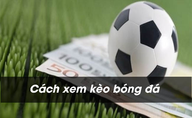 [Tổng hợp] Cách đọc và xem kèo bóng đá dễ hiểu cho người mới