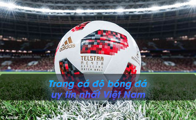 Tham khảo top 7 trang cá độ bóng đá uy tín nhất Việt Nam