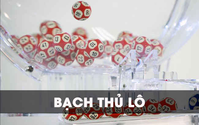 bạch thủ lô là gì? bạch thủ lô là gì?