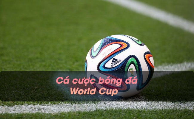 Mách bạn kinh nghiệm cá cược bóng đá World Cup hay nhất