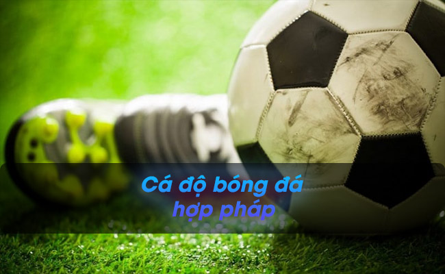 Tìm hiểu chi tiết về cá độ bóng đá hợp pháp tại Việt Nam Tìm hiểu chi tiết về cá độ bóng đá hợp pháp tại Việt Nam