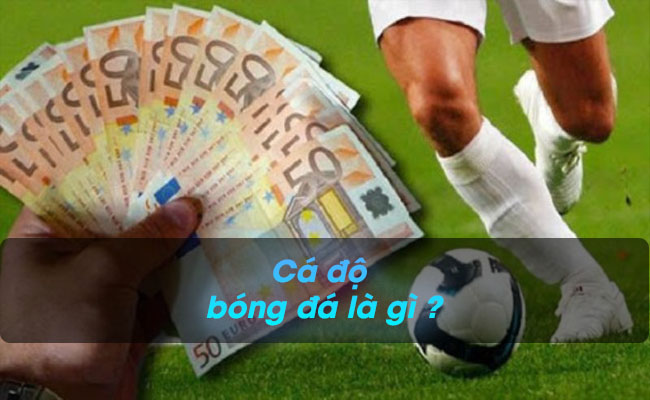 Cá độ bóng đá là gì – Hướng dẫn chơi cá độ đơn giản nhất