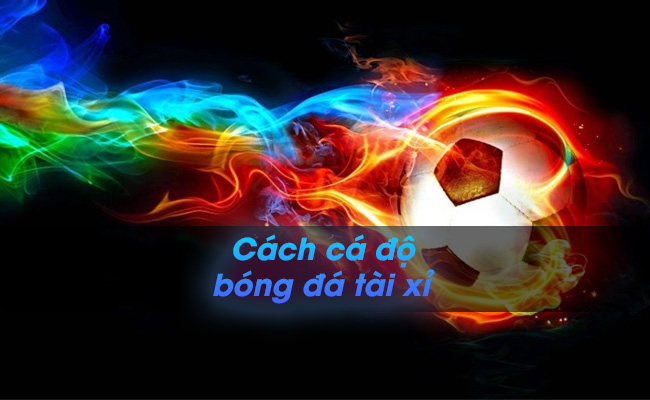 Hướng dẫn cách cá độ bóng đá tài xỉu đẳng cấp 2021