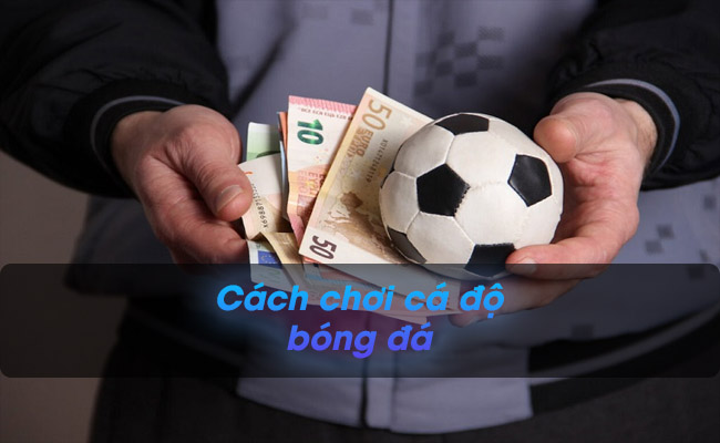 Cách chơi cá độ bóng đá và những thông tin không thể bỏ lỡ