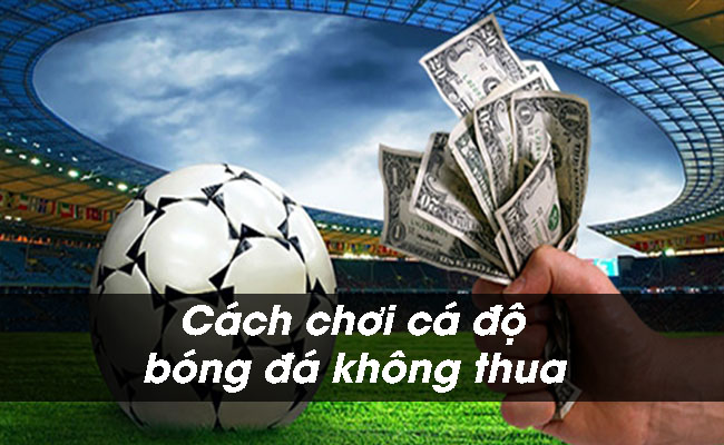 [Chia sẻ] 11 cách chơi cá độ bóng đá không thua mà bạn nên biết