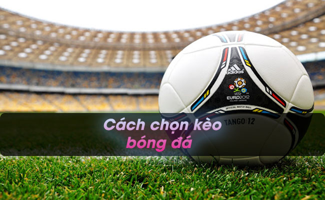 Tổng hợp những cách chọn kèo bóng đá luôn thắng