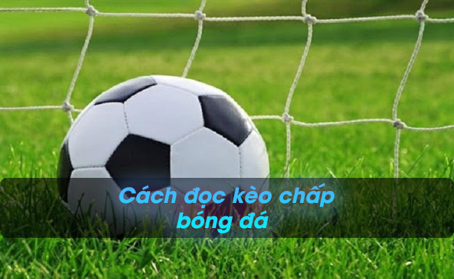 Hướng dẫn cách đọc kèo chấp bóng đá hiệu quả nhất Hướng dẫn cách đọc kèo chấp bóng đá hiệu quả nhất
