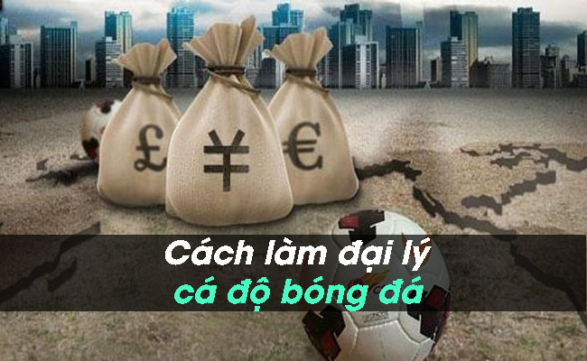 Hướng dẫn cách làm đại lý cá độ bóng đá cực nhanh chóng