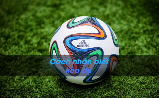 Chia sẻ cách nhận biết kèo dụ chuẩn xác từ cao thủ