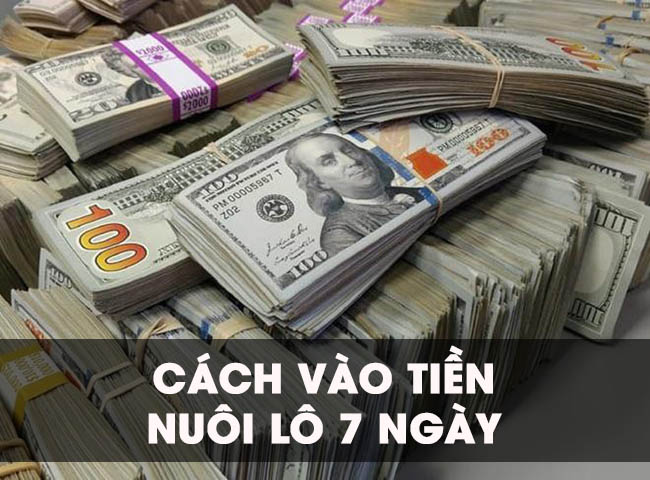 [Chia sẻ] Cách vào tiền nuôi lô 7 ngày chuẩn như cao thủ?