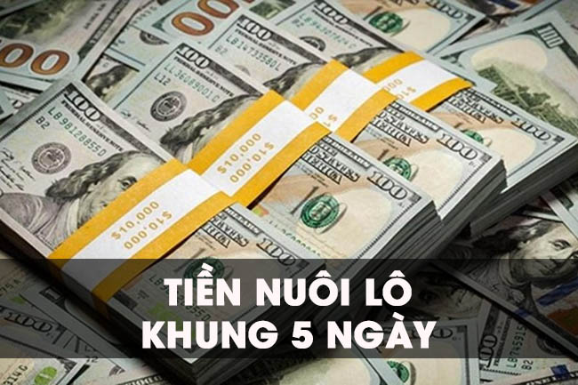 Tìm hiểu cách vào tiền nuôi lô cặp 5 ngày dễ trúng thưởng