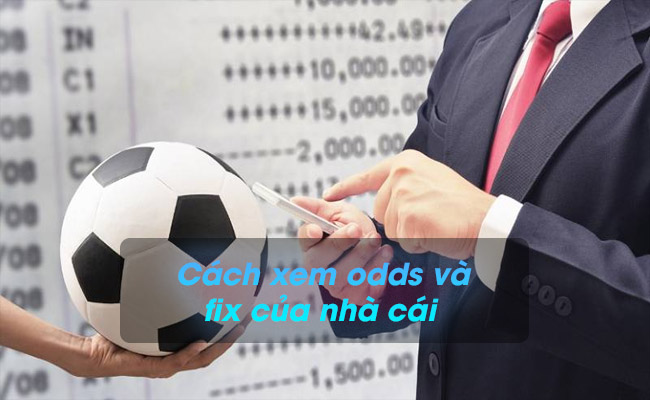 Hướng dẫn cách xem odds và fix của nhà cái chuẩn xác nhất