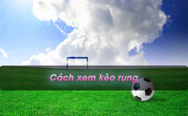 Tiết lộ cách xem kèo rung chuẩn xác từ các cao thủ