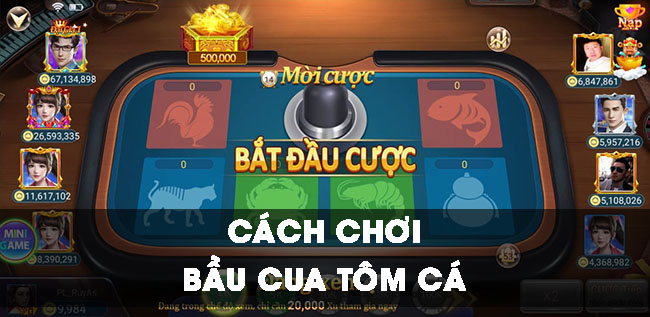 Cách chơi bầu cua luôn thắng dành cho người mới