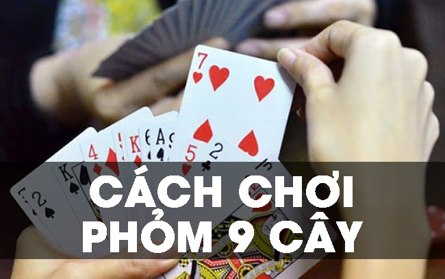 Cách chơi phỏm 9 cây – Bí quyết cực hay không phải ai cũng biết
