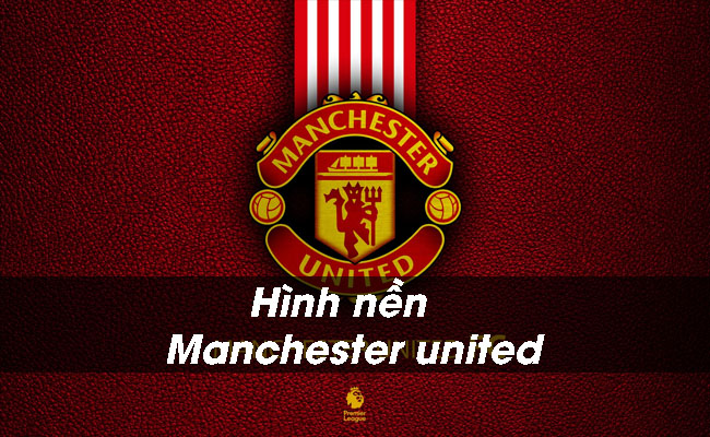 Tổng hợp 100+ những bộ hình nền Manchester United dành cho Fan