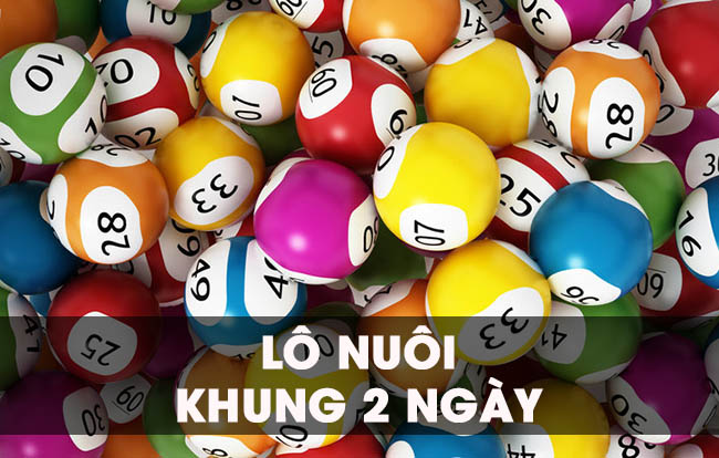 Mách bạn cách bắt lô nuôi khung 2 ngày đơn giản và chi tiết