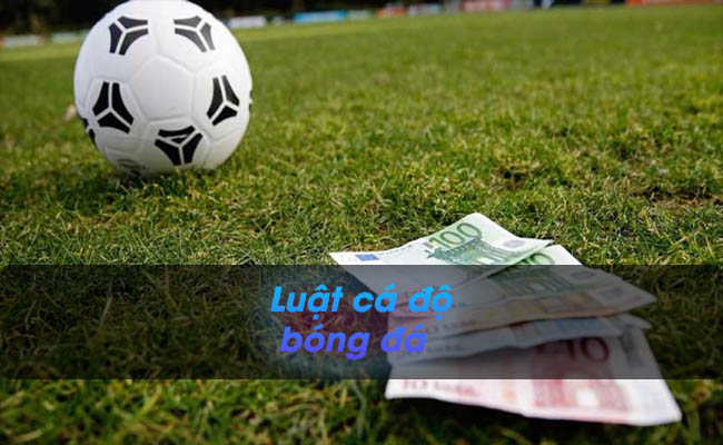 Tìm hiểu chi tiết luật cá độ bóng đá cơ bản cho người mới chơi
