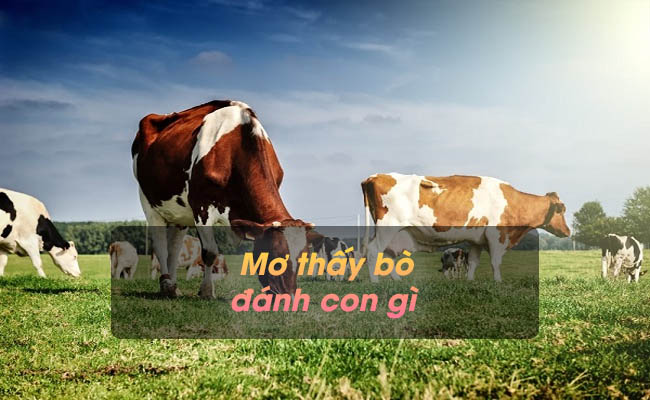 Giải mã giấc mơ thấy bò đánh con gì – Gợi ý con số trúng lớn