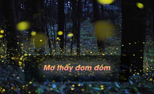 Ngủ mơ thấy đom đóm có ý nghĩa gì? Đánh con gì chuẩn xác?