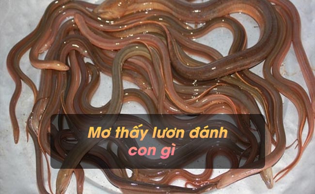 Mơ thấy lươn đánh con gì – Mơ thấy lươn mang lại những lợi ích gì