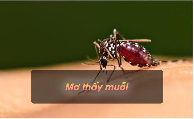 Luận giải giấc mơ thấy muỗi – Nên đánh con số nào?