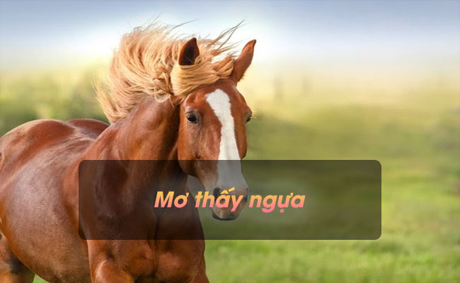 Giải mã giấc mơ thấy ngựa – Điềm báo gì liên quan đến giấc mơ này?