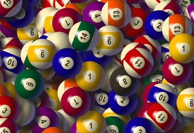 Nuôi lô 7 ngày là gì? Nuôi lô 7 ngày là gì?