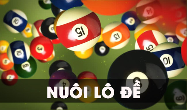 Chia sẻ kinh nghiệm nuôi lô đề miền Bắc người mới nên biết