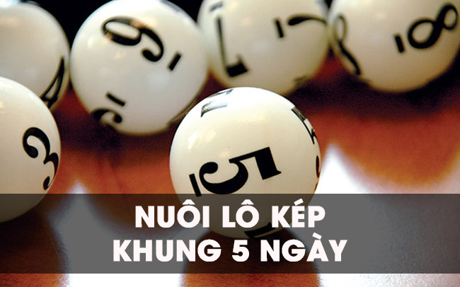 Bật mí cách nuôi lô kép khung 5 ngày đẳng cấp nhất 2021