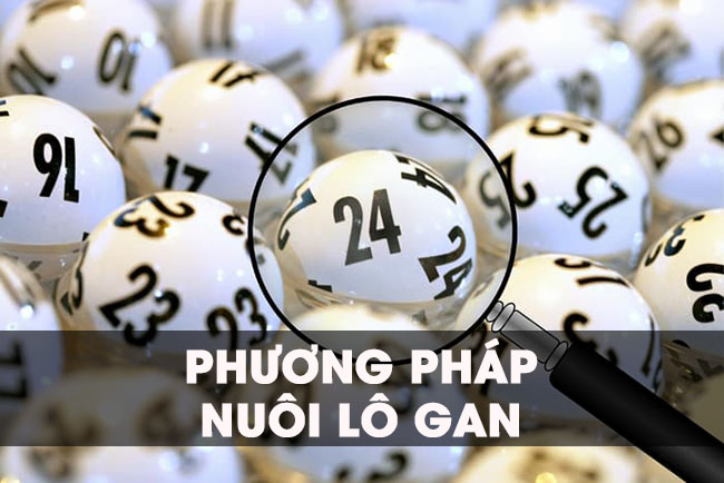 Bật mí phương pháp nuôi lô gan an toàn, hiệu quả nhất