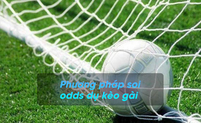 Cách dùng phương pháp soi odds dụ kèo gài chuẩn nhất