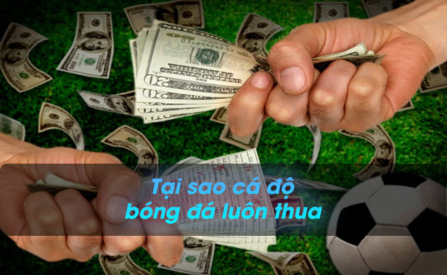 [Giải đáp] Tại sao cá độ bóng đá luôn thua chi tiết nhất