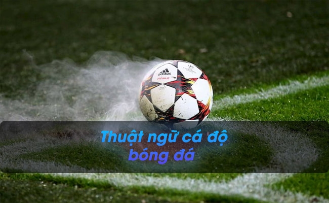 Giải đáp những thuật ngữ cá độ bóng đá thường dùng nhất