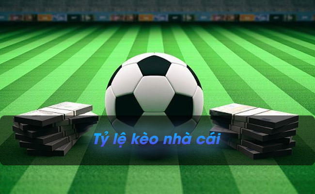 Tìm hiểu về tỷ lệ kèo nhà cái – Trang đọc tỷ lệ kèo chuẩn nhất