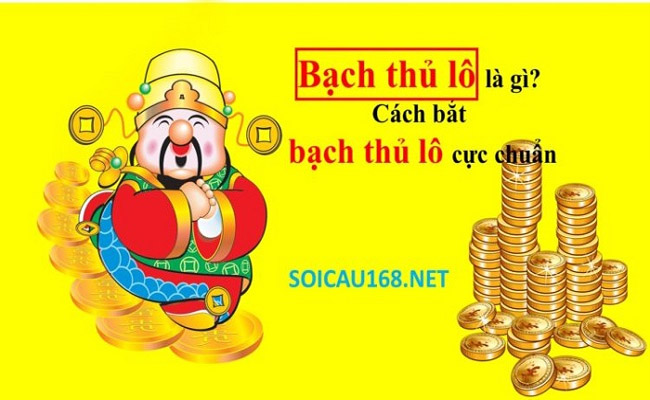 Soicau168.net Soicau168.net