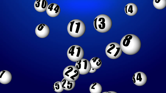 Bắt đầu nuôi lô Bắt đầu nuôi lô