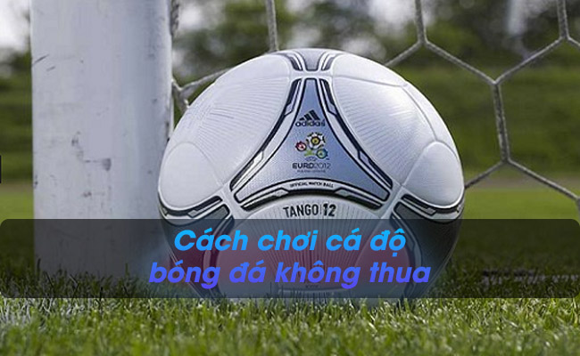 Tổng hợp các cách chơi cá độ bóng đá không thua – Đừng bỏ lỡ