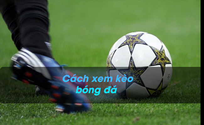 Hướng dẫn cách xem kèo bóng đá hiệu quả, chi tiết nhất